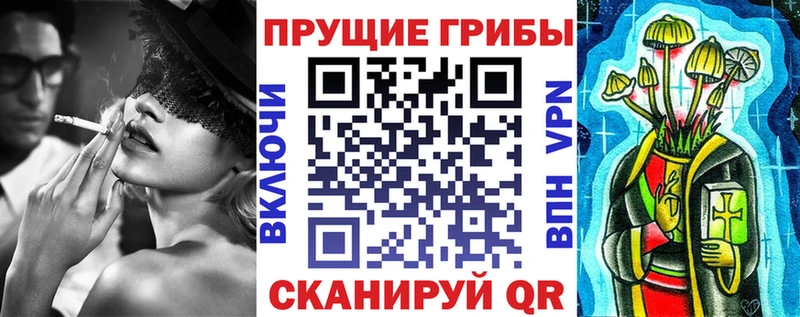 Псилоцибиновые грибы мухоморы  Купить закладки  Черкесск 